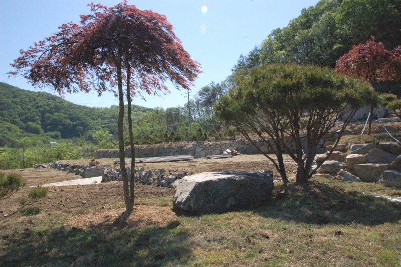 충북조경 이미지