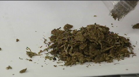 대마초가 불법이 된 이유 | 인스티즈