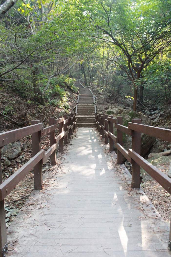 달비골 이미지