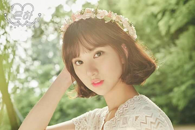 헤이버디 이미지