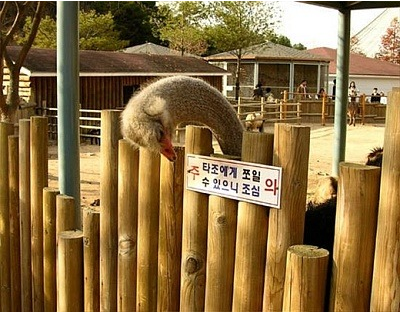 아씨 먹이를 왜케 안줘; | 인스티즈