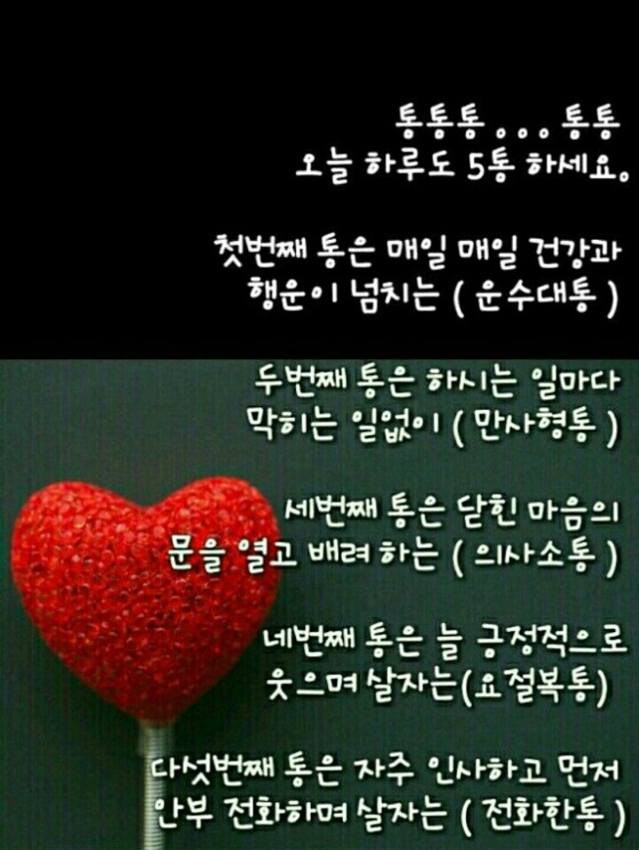 통통통 이미지