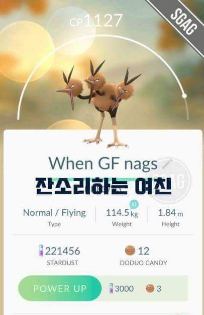 포켓몬고 작명센스 | 인스티즈
