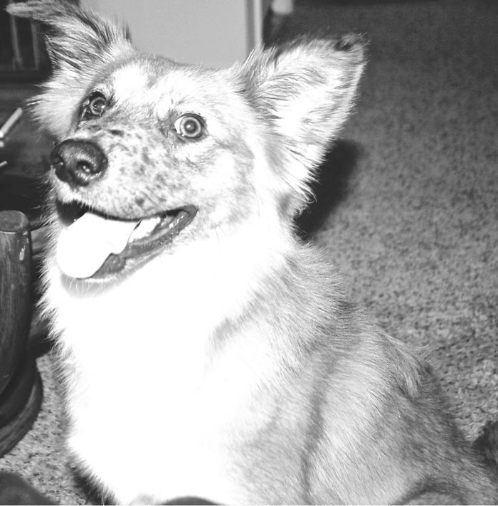 2244FC355602AC032BC774