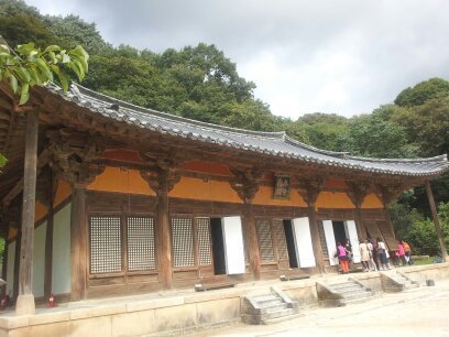 브이레인 이미지