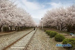 명주골 이미지