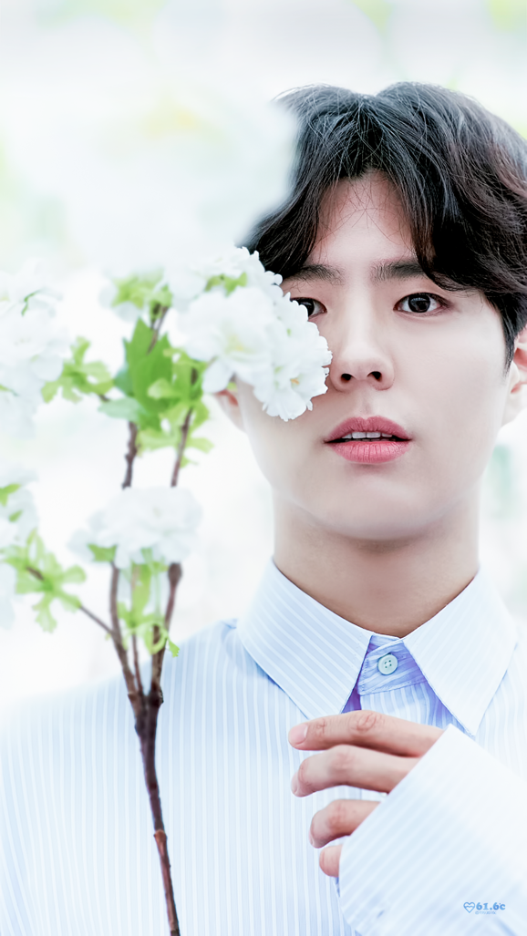 스윗보검vs박력보검 | 인스티즈