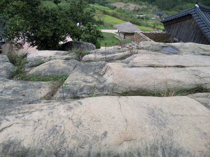 2253CB4F554F1FF52C9326