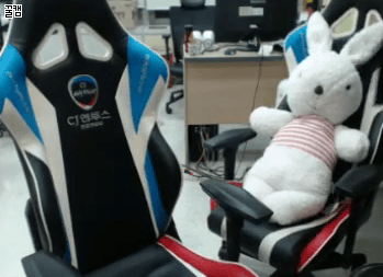 [LOL] 처갤러가 준 인형 인증한 버블링 | 인스티즈