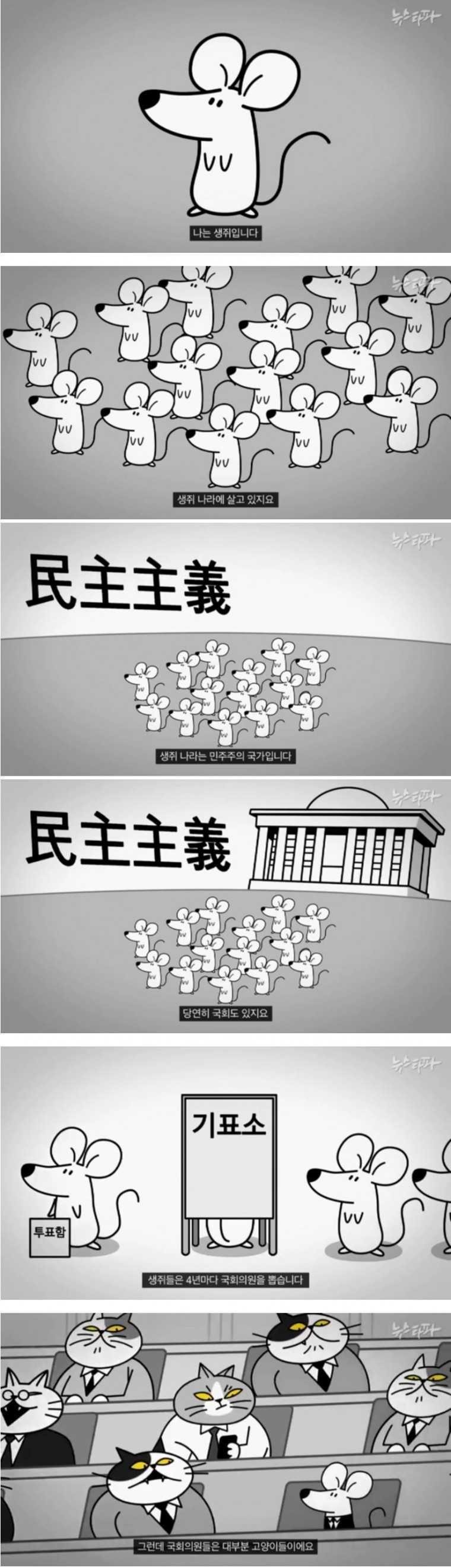 생쥐 나라의 고양이 국회의원.jpg | 인스티즈
