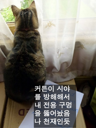 사랑스런 악동들 | 인스티즈