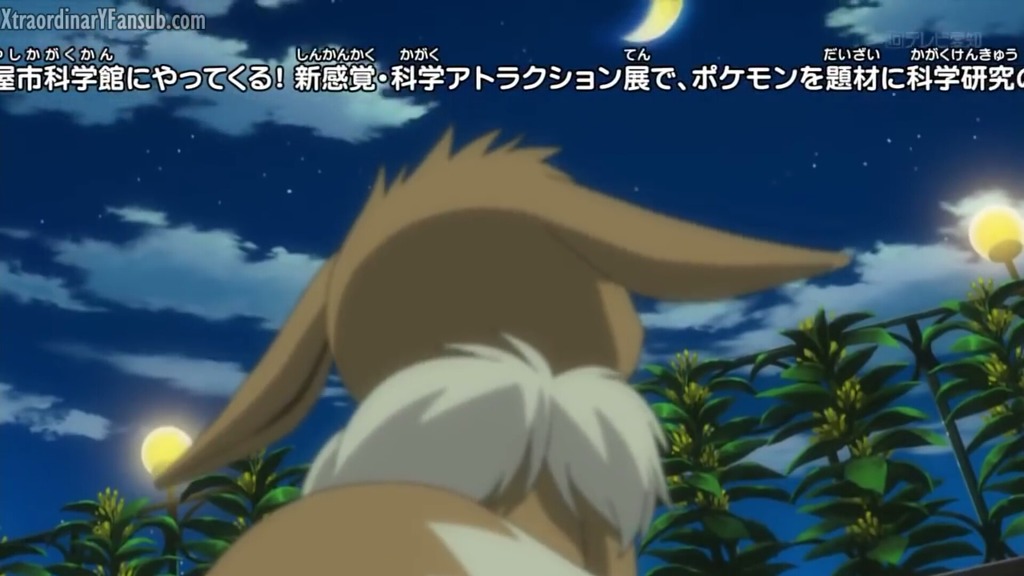 [포켓몬스터] 정말 충격적으로 예쁘고 귀여운 이브이 | 인스티즈