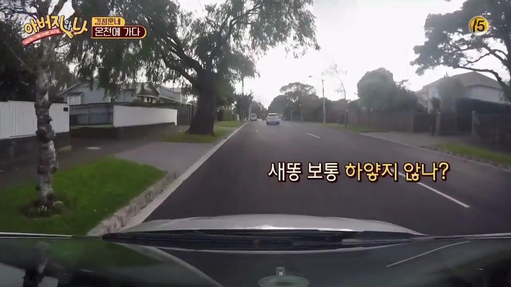 흔한 뉴질랜드의 새똥.jpg | 인스티즈
