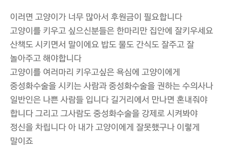 가정집 고양이공장같은 애니머호더 유튜버 봐줘라 | 인스티즈