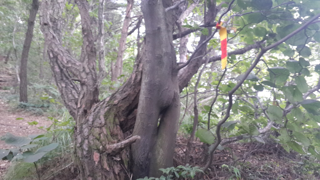 오르다보면 이미지