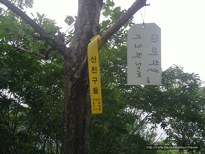 용두골 이미지