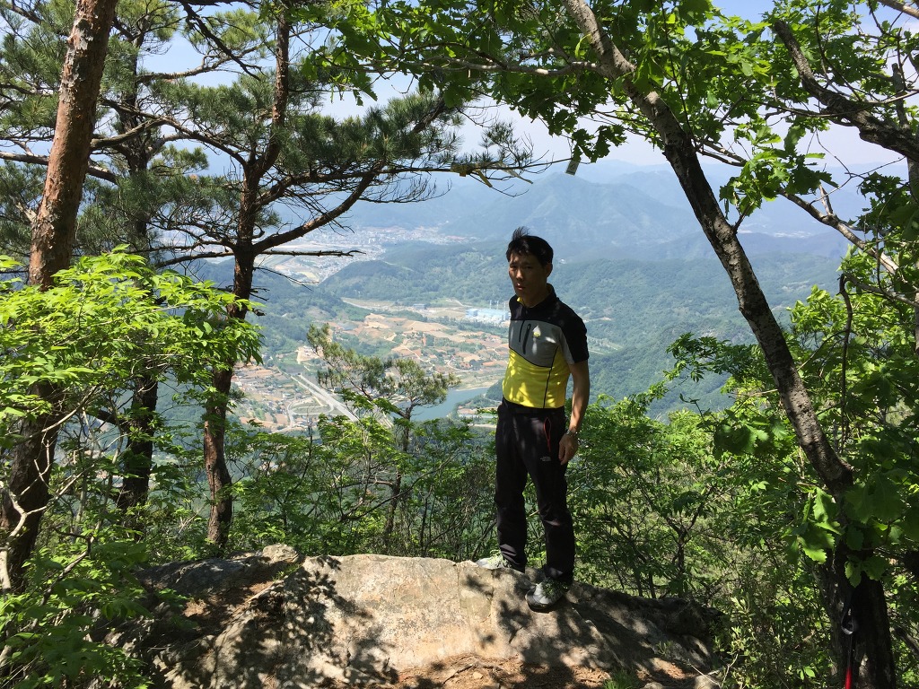 영미용 이미지