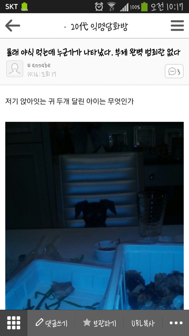 평화로운 익친이네 개들.jpg | 인스티즈