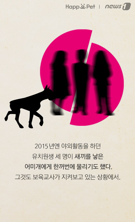 세상에 안 무는 개는 없다 | 인스티즈