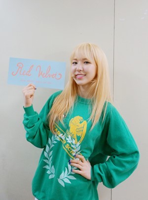 레드벨벳의 표정부자 웬디 | 인스티즈