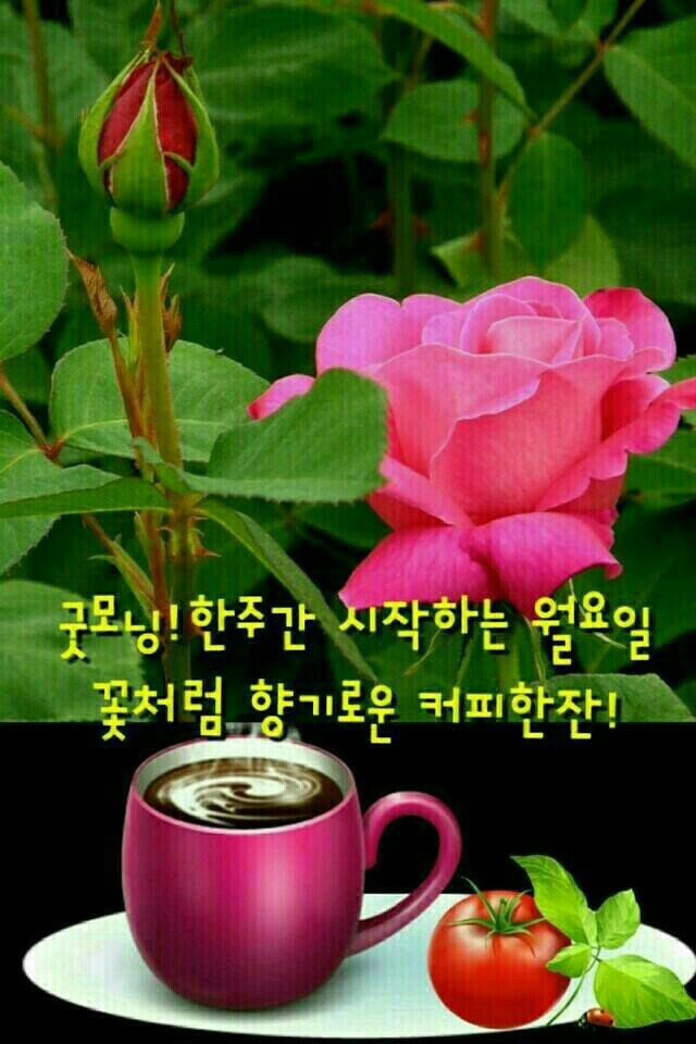 좋은하루 이미지