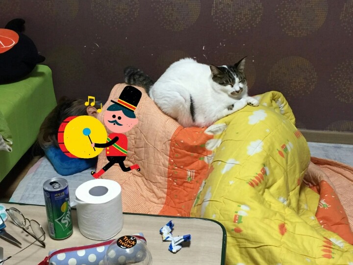 룸메가 자는데 앓는 소리가 나서 뒤돌아보니.twt | 인스티즈