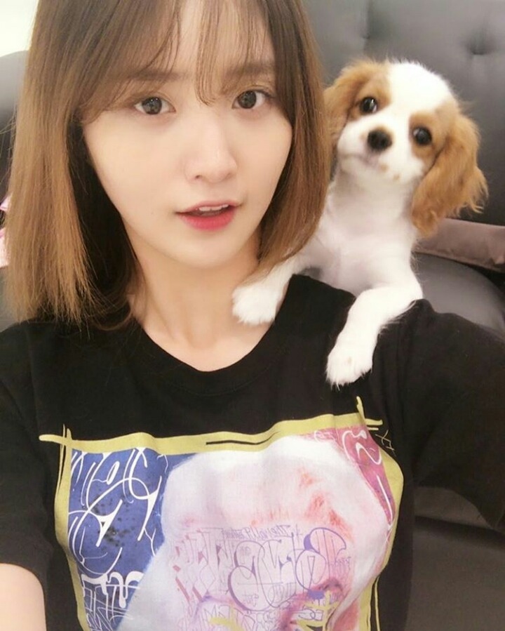 오늘자 EXID 정화 쫑스타그램 (Feat. 모카) | 인스티즈