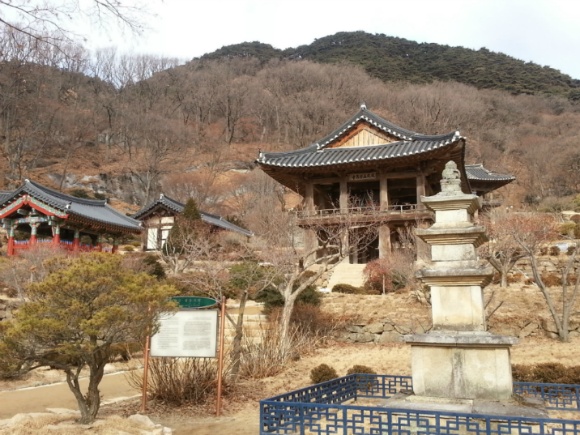풍기인삼농협 이미지