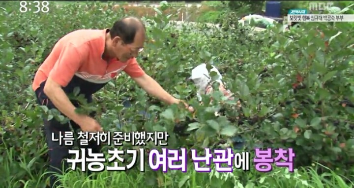 천사농원 이미지