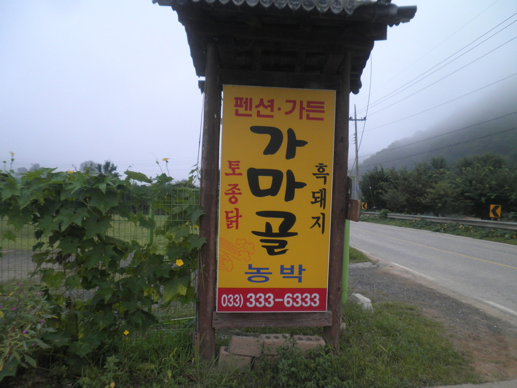 자연약초 이미지