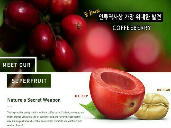 커피베리 이미지