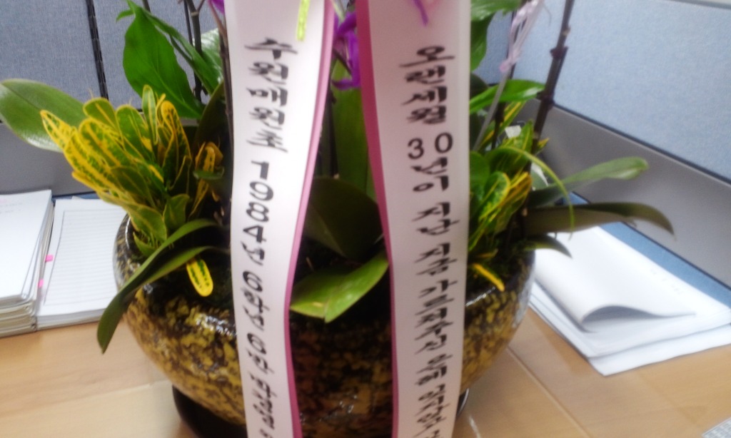 매원초등학교 이미지