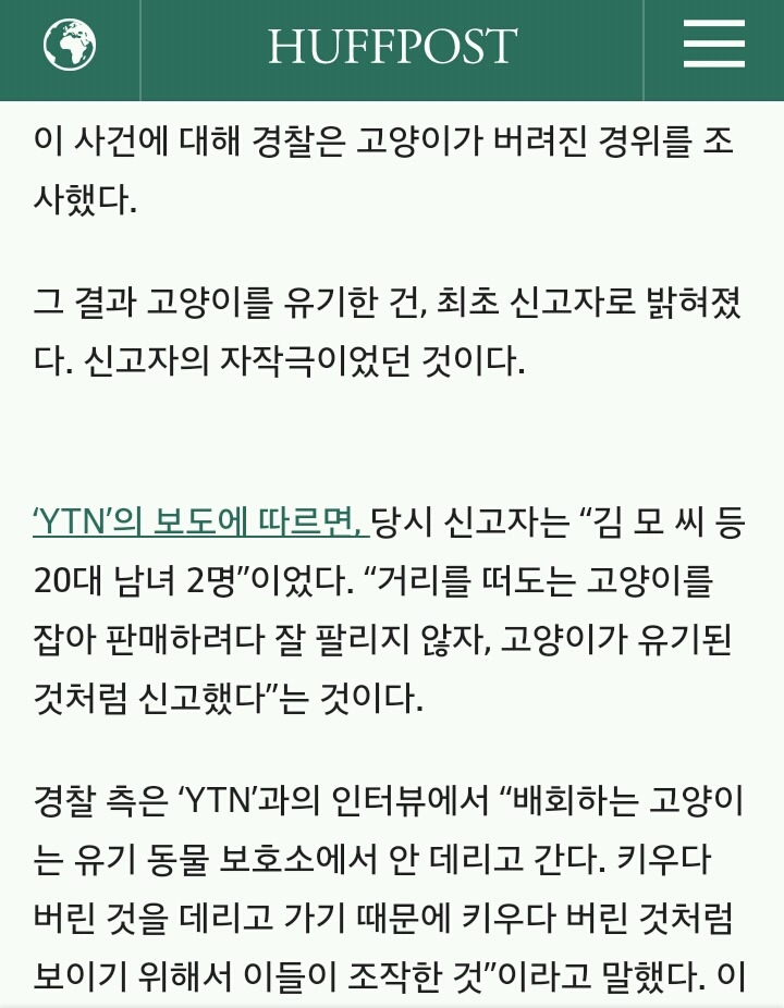 발 묶인 채 쓰레기봉투에 담긴 고양이 사건은 자작극이었다 | 인스티즈
