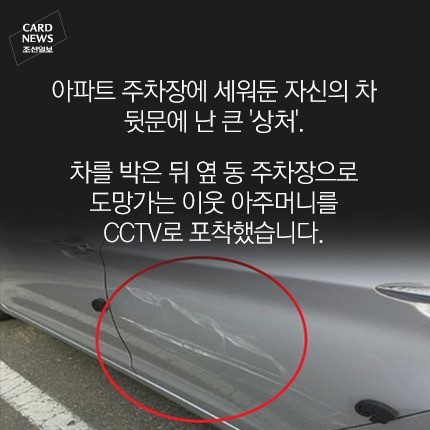 몰래 남의 차 긁고 도망갔지만 여유있는 이유? | 인스티즈