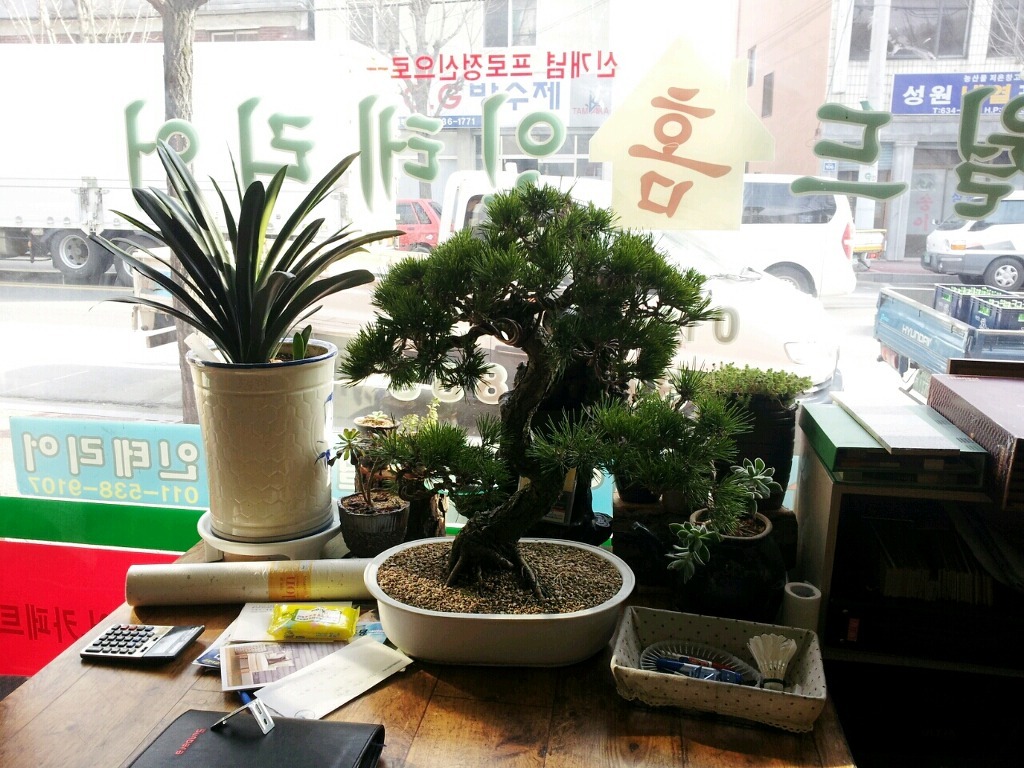 버티칼월드 이미지