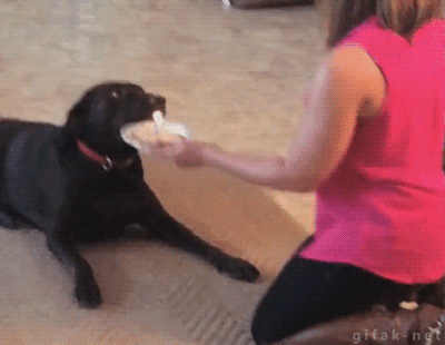 치아라 마 | 인스티즈