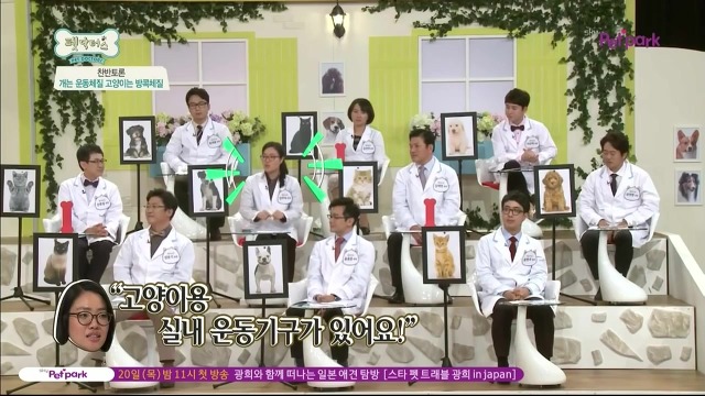 운동체질 강아지와 방콕체질 고양이?! | 인스티즈