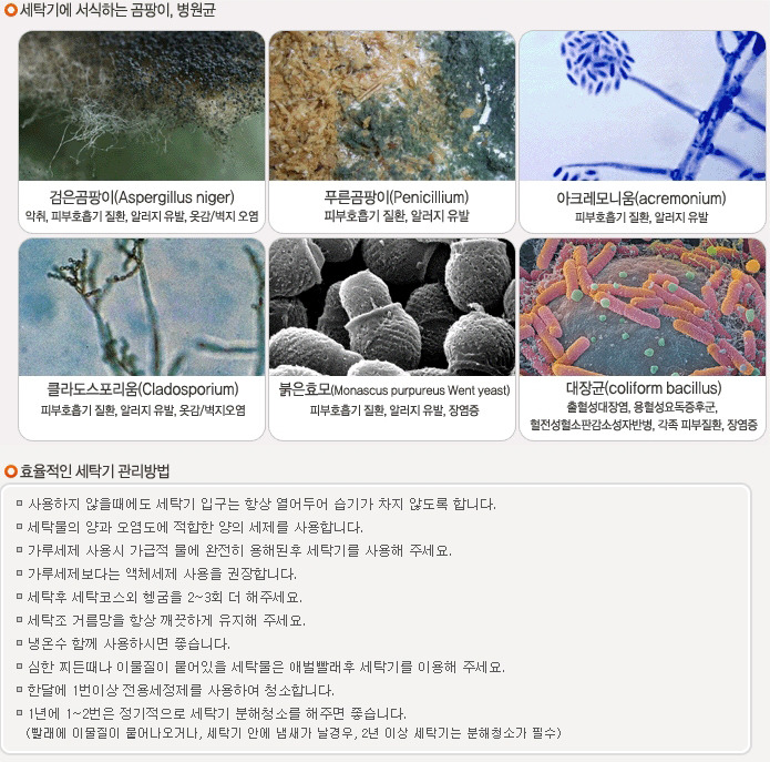 나래세탁 이미지