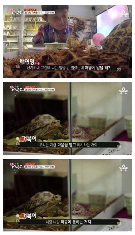 슬픔주의)눈물주의) 엄마의 죽음을 받아들이는 어린이 | 인스티즈