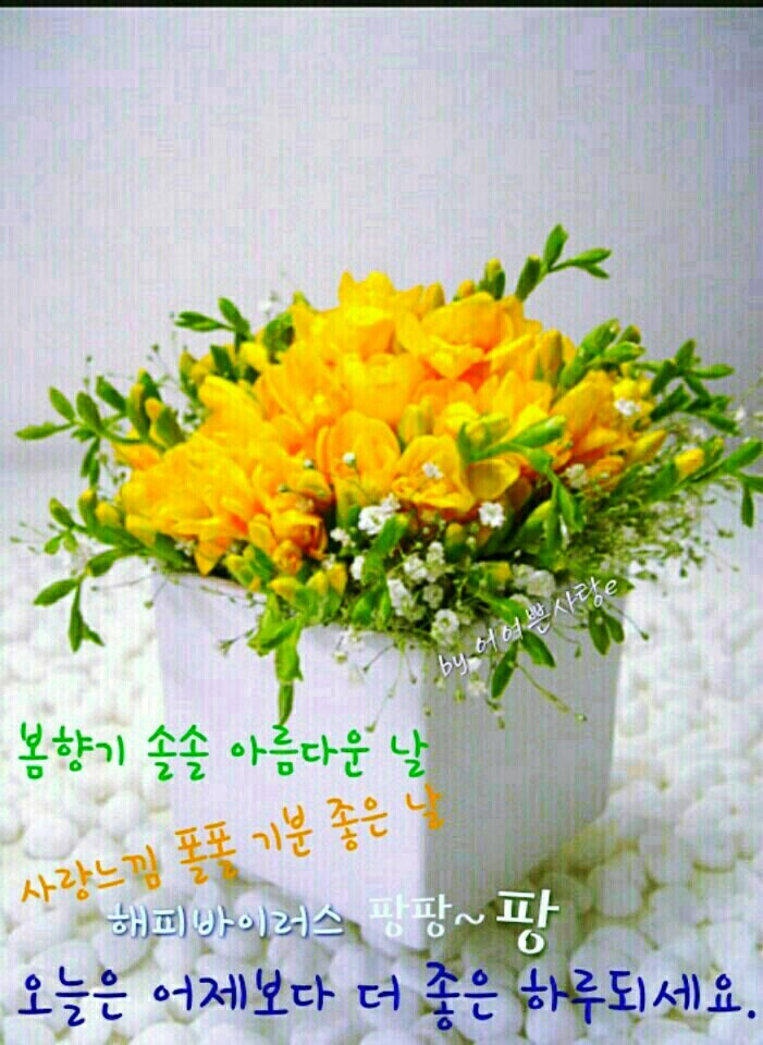 지야 이미지
