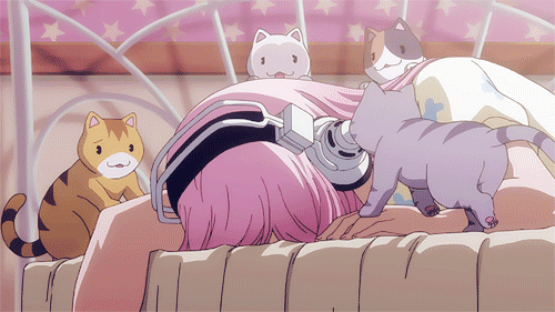 2D 고양이 | 인스티즈
