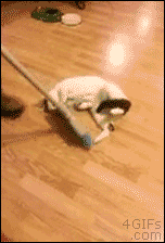 아 이거 재밌네.gif | 인스티즈