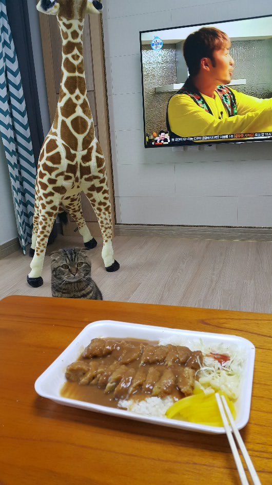 디시인의 매의 눈빛 자취방...동거녀..jpg | 인스티즈