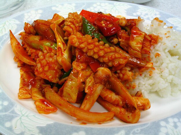 여러가지 덮밥 종류 | 인스티즈