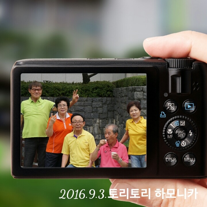 토리토리 이미지