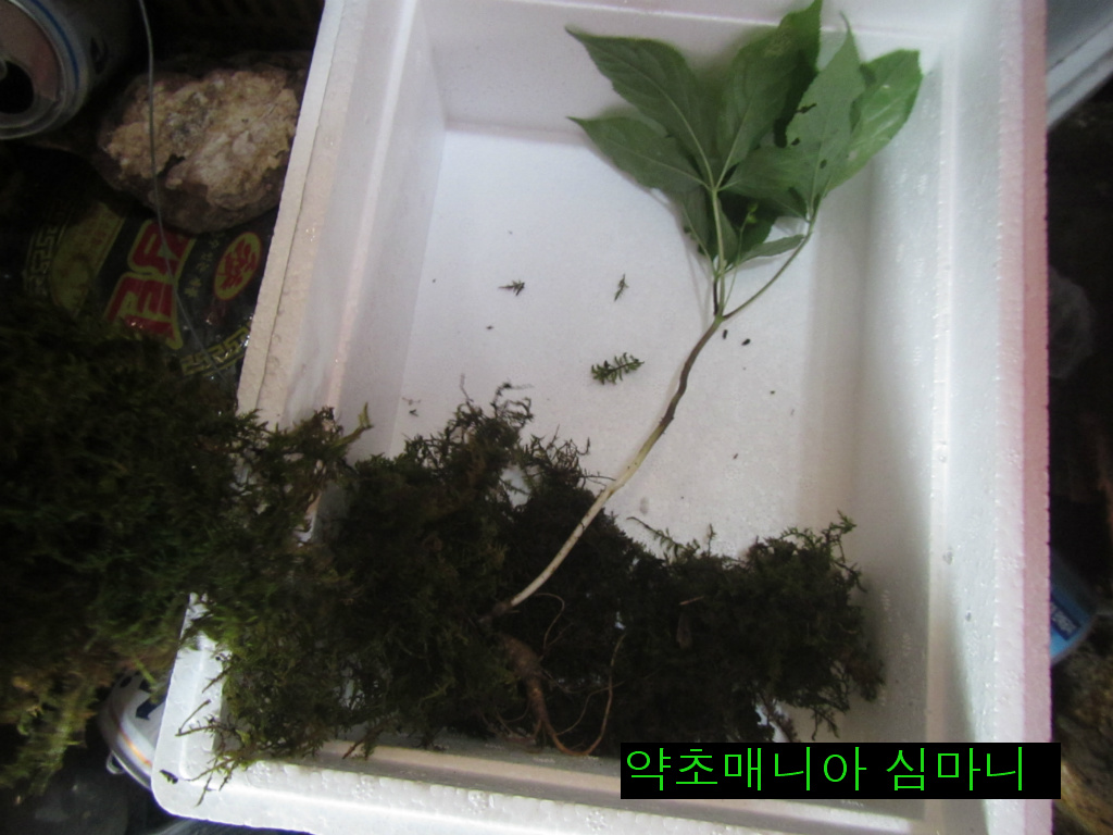 스마트리스트 이미지