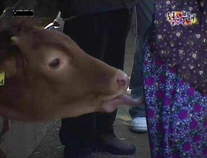 디씨레전드 | 인스티즈