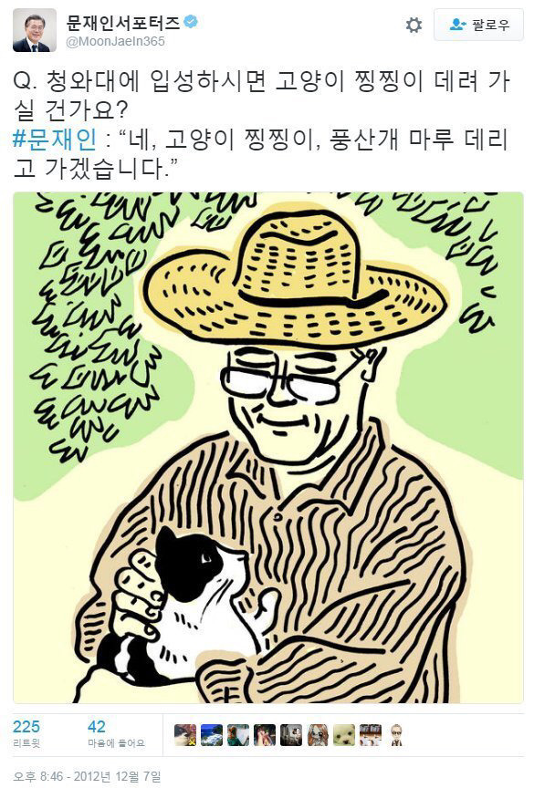 냥집사들 🐱 (사진 엄청많음 주의) | 인스티즈