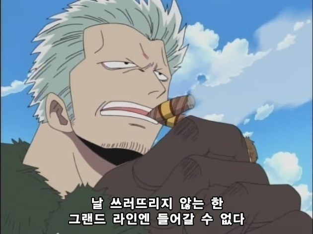 그랜드라인에 해적들이 많은 이유.jpg | 인스티즈