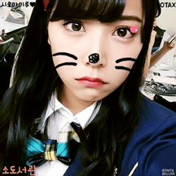 최신 오버워치 역대급 하이라이트들 .gif | 인스티즈